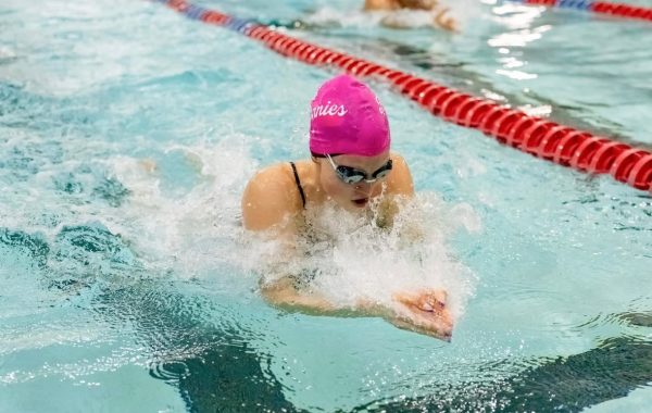 Bennie swimming and diving prepares for upcoming Rochester Invite